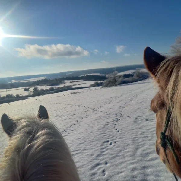 Ausreiten im Winter