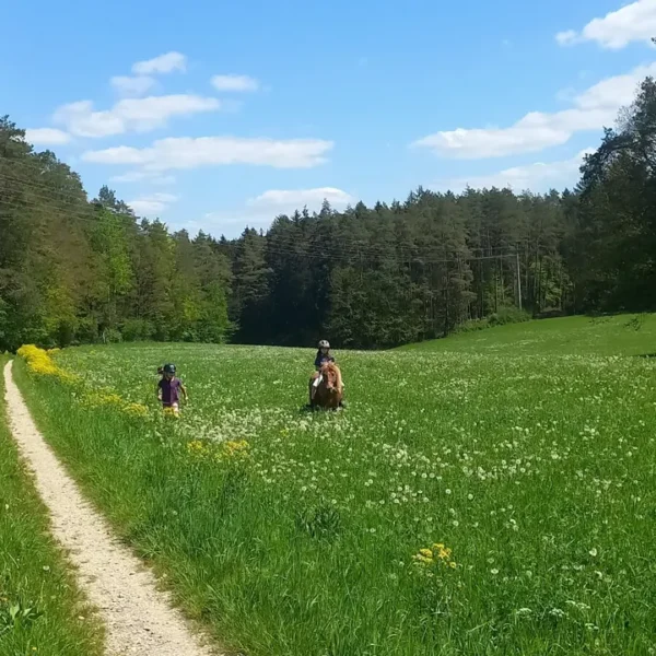 Perfektes Ausreitgelände