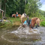 Badestelle mit Pferden