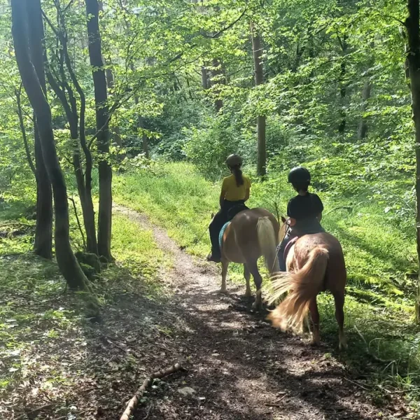 Tolle Waldwege